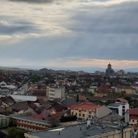 Exclusive Hortensiei Baia Mare Exterior photo